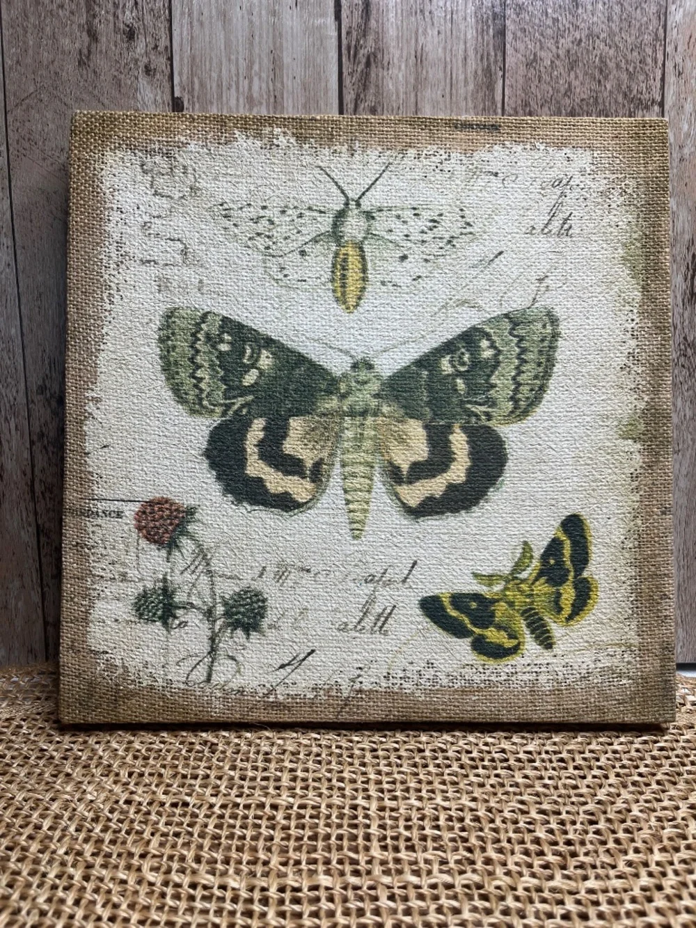 Botanical Butterfly Canvas Wall Art Rustic Nature Decor Burlap Style
